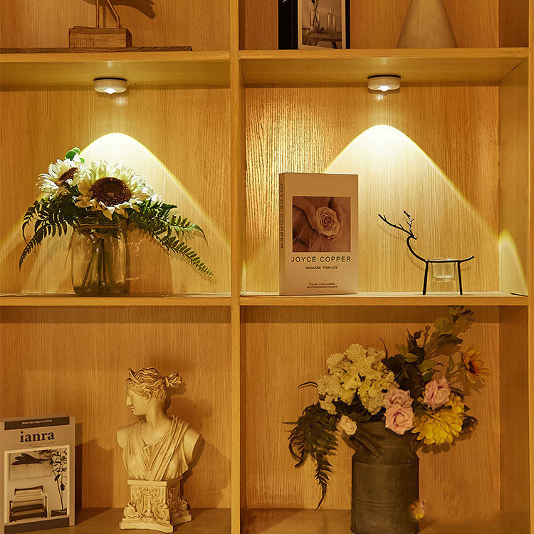 Cabinet/Shelf Roof Light